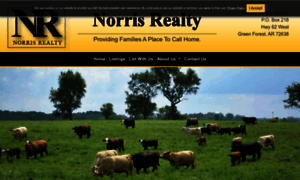 Norris-realty.com thumbnail