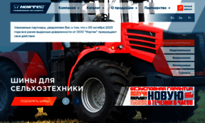 Nortec-tyres.ru thumbnail