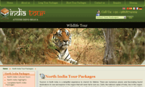 North-india-tours.indianluxurytours.net thumbnail