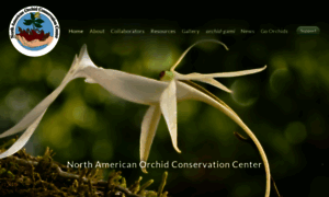 Northamericanorchidcenter.org thumbnail
