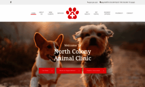 Northcolonyanimalclinic.com thumbnail