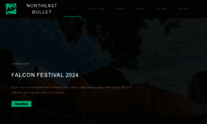 Northeastbullet.com thumbnail