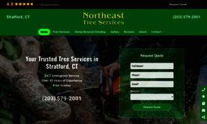 Northeasttreeservicect.com thumbnail