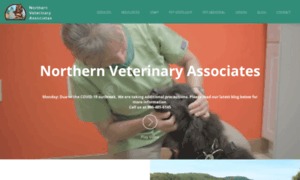 Northern-vet.com thumbnail