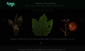 Northernforestatlas.org thumbnail