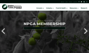 Northernpulse.com thumbnail