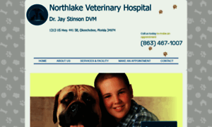 Northlakevethospital.com thumbnail