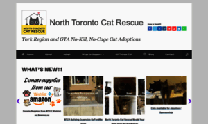 Northtorontocatrescue.com thumbnail