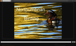 Northumbrianbirding.blogspot.com thumbnail