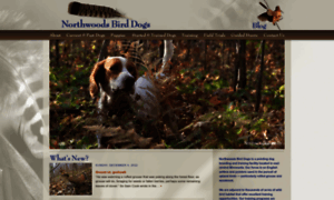 Northwoodsbirddogs.com thumbnail