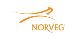 Norvegbaltic.eu thumbnail
