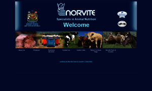 Norvite.com thumbnail