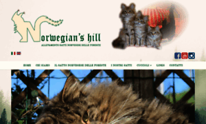 Norwegianshill.com thumbnail