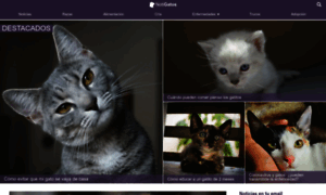 Notigatos.es thumbnail