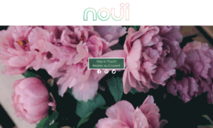 Noui-collections.com thumbnail