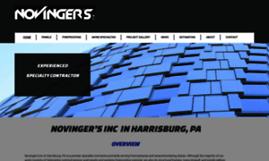 Novingergroup.com thumbnail