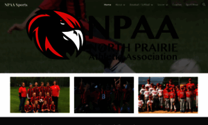 Npaa-sports.com thumbnail