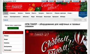 Npf-paker.ru thumbnail