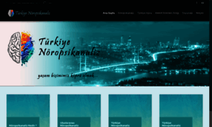 Npsa-istanbul.com thumbnail