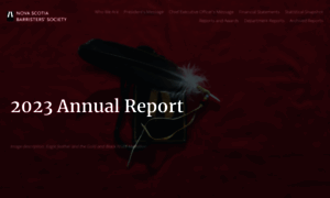 Nsbsannualreport.org thumbnail