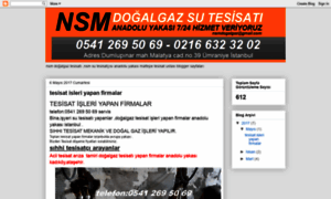 Nsmdogalgazsutesisatcisianadoluyakasi.blogspot.com thumbnail