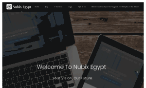Nubix-egypt.com thumbnail
