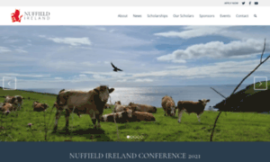 Nuffield.ie thumbnail