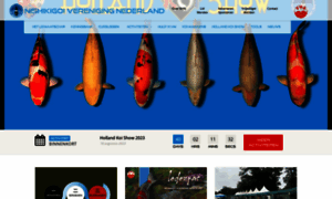 Nvn-koi.nl thumbnail