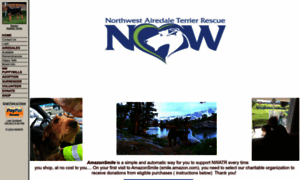 Nwairedalerescue.org thumbnail