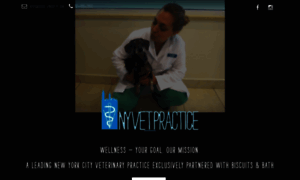 Nyvetpractice.com thumbnail