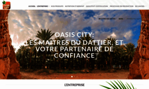 Oasiscity.fr thumbnail