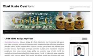 Obatkistaovarium.diluhur.com thumbnail