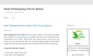 Obatpelangsingperutalami22.wordpress.com thumbnail