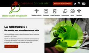 Obesite-solution-chirurgie.fr thumbnail