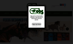 Obfs.com thumbnail