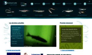 Observatoire-poissons-migrateurs-bretagne.fr thumbnail