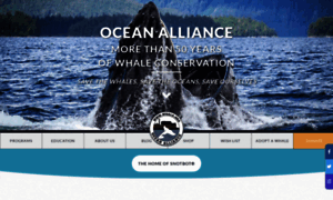 Oceanalliance.org thumbnail