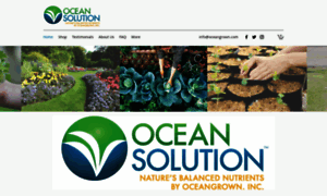 Oceansolution.com thumbnail