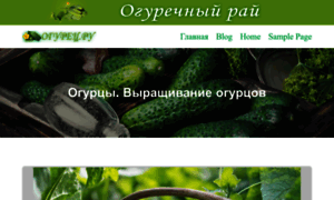 Ogyrets.ru thumbnail