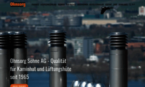 Ohnsorg-soehne-ag.ch thumbnail