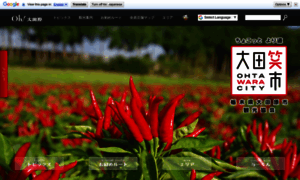 Ohtawara.info thumbnail