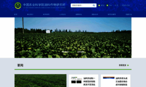 Oilcrops.com.cn thumbnail