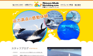 Okinawa-whalewatching.com thumbnail