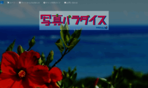 Okinawa.epitas.com thumbnail