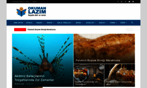 Okumanlazim.com thumbnail