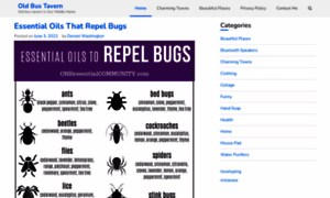 Oldbustavern.com thumbnail