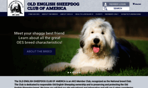 Oldenglishsheepdogclubofamerica.org thumbnail