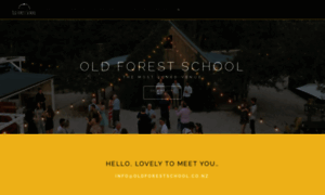 Oldforestschool.co.nz thumbnail