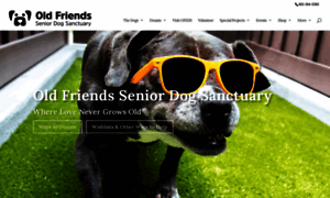 Oldfriendsseniordogs.com thumbnail