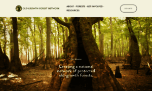 Oldgrowthforest.net thumbnail